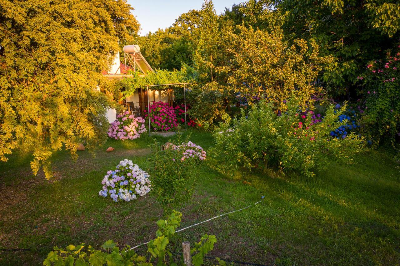 Alekas Studios Therma  Eksteriør bilde